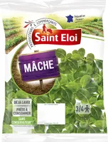 Mâche