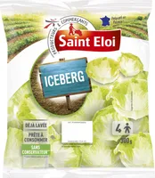 Iceberg
