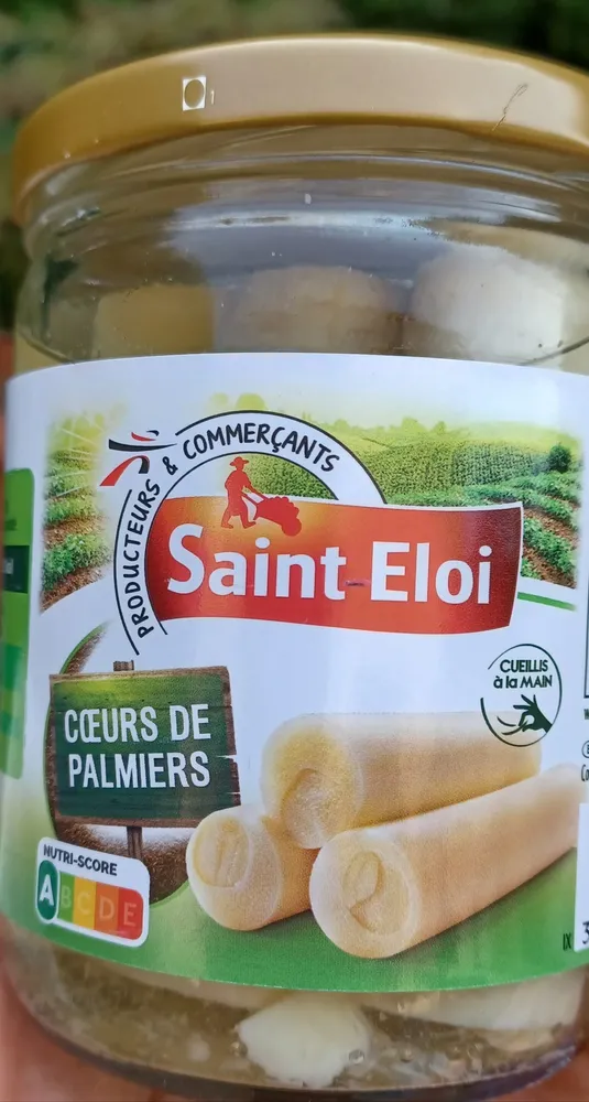 CŒURS DE PALMIERS