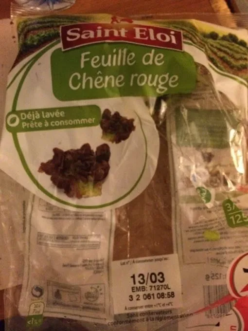 Feuille de chêne rouge