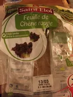 Feuille de chêne rouge