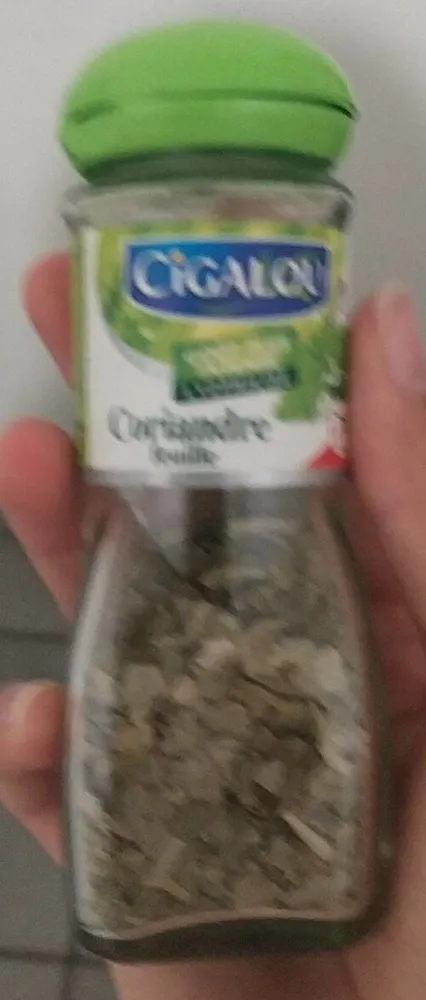 Coriandre feuille
