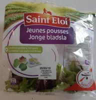 Salade de jeunes pousses
