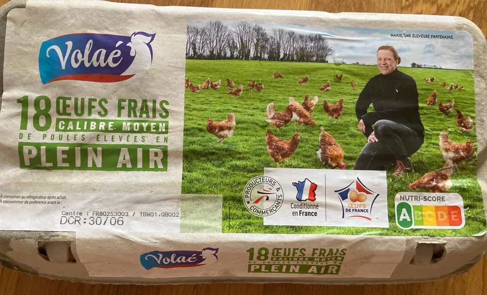 Œufs frais moyen de poules élevées en plein