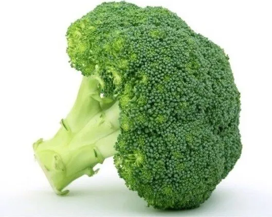 Chou Brocoli Bio