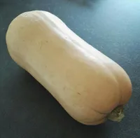 Courge Butternut