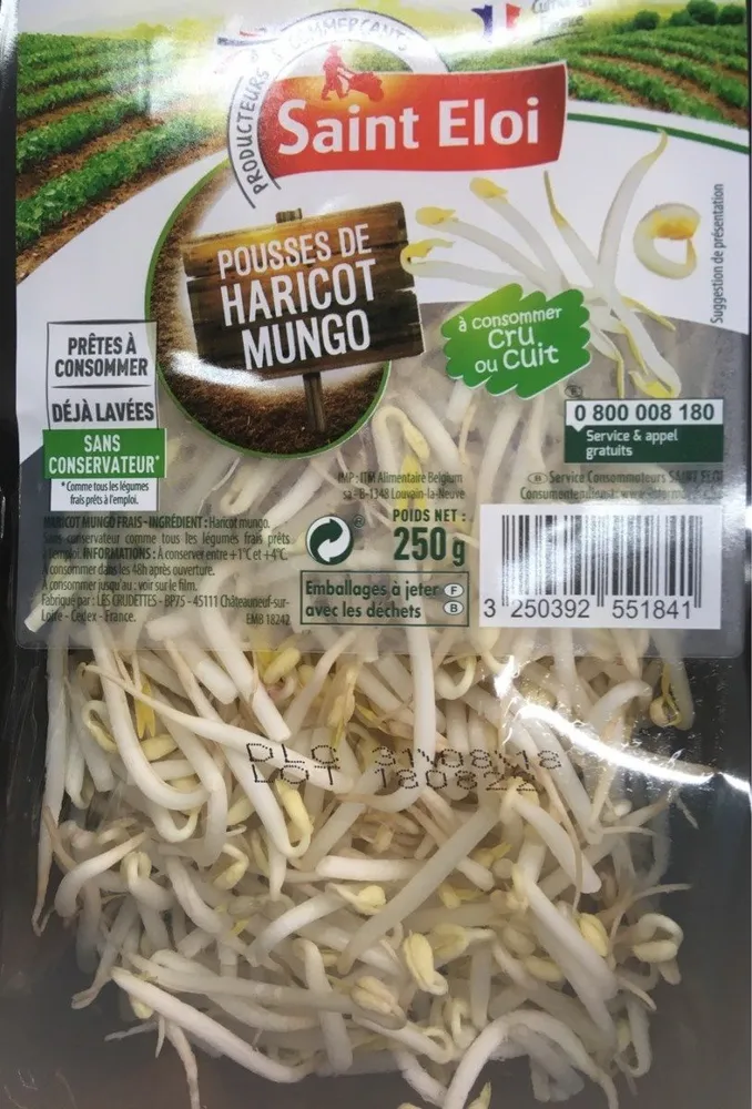 Pousse haricot mungo