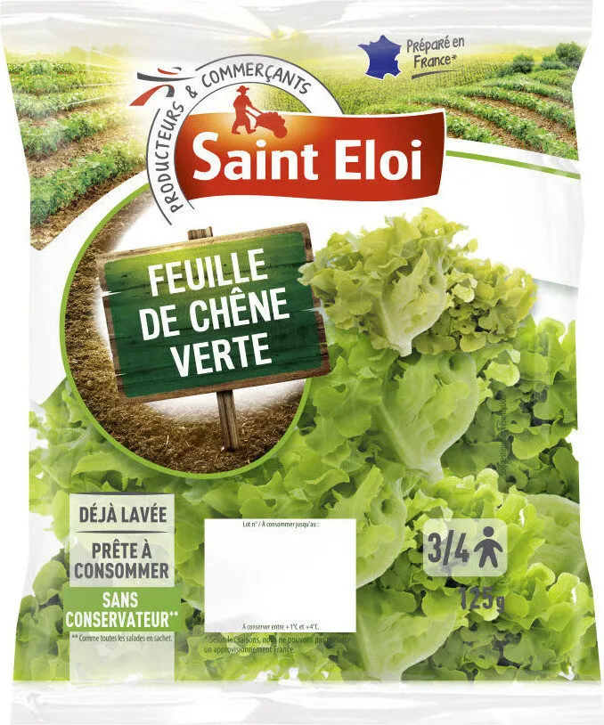 Feuille de chêne verte