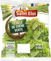 Feuille de chêne verte