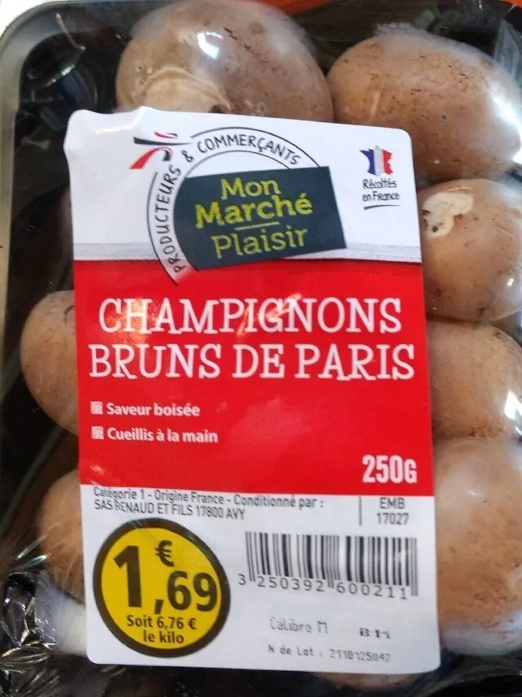 Champignons bruns de paris
