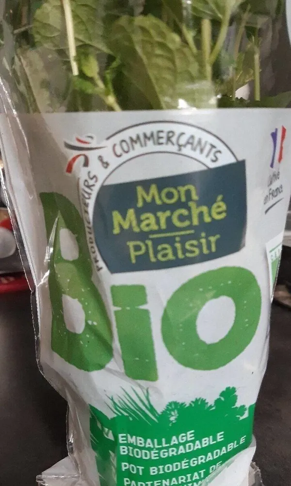 Menthe