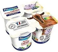 Yaourt chevre myrtille
