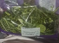 Duo mâche & Roquette