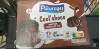COOL'CHOCO - FLAN NAPPE CHOCOLAT - 12x100g