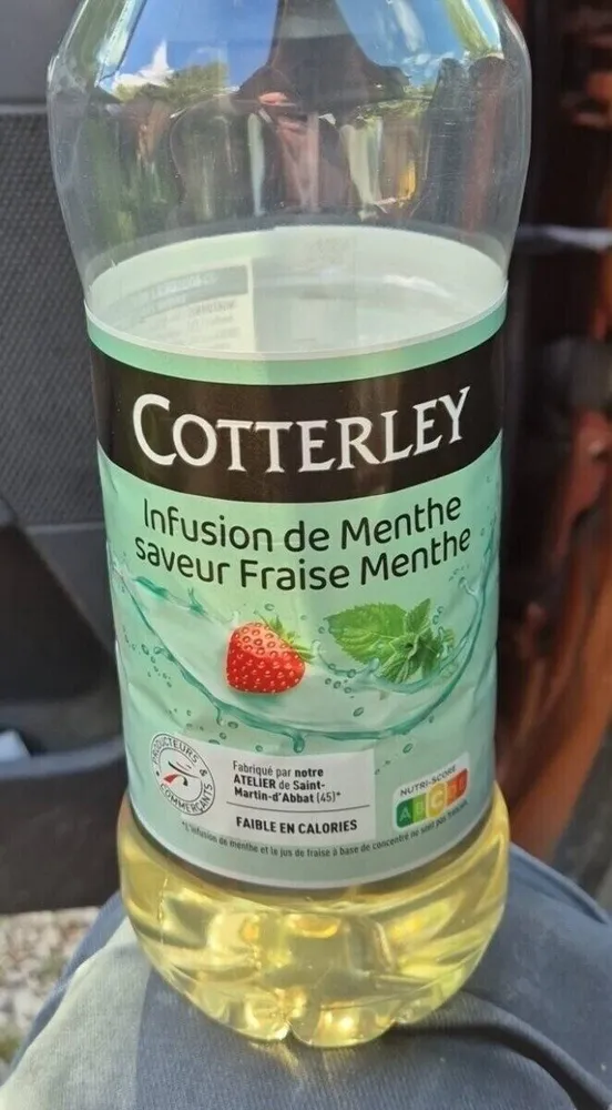 Boisson au thé infusion fraise menthe