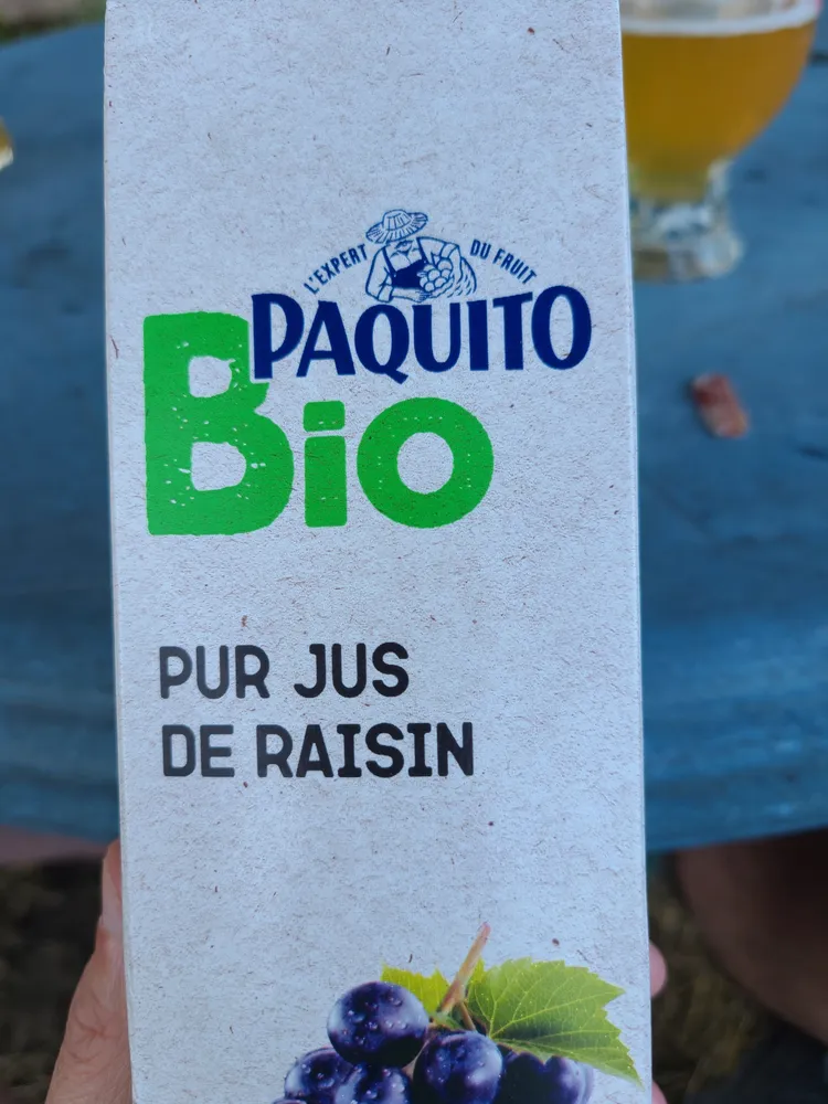Pj raisin bio brique 1l