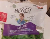 Salade mache