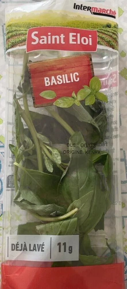 Basilic