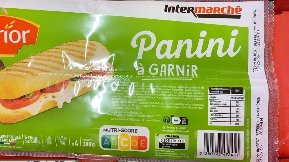 Panini