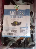 Moules de Hollande