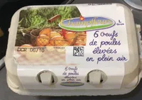 6 oeufs de poules élevées en plein air