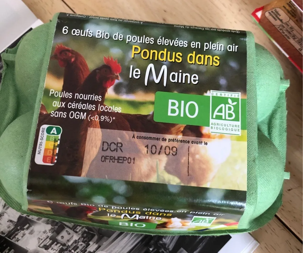 6 oeufs bio de poules elevees en plein air