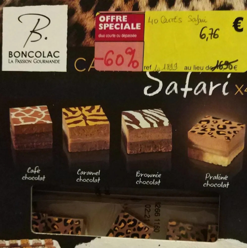 Carrés safari x40