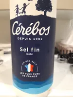 Sel fin iodé