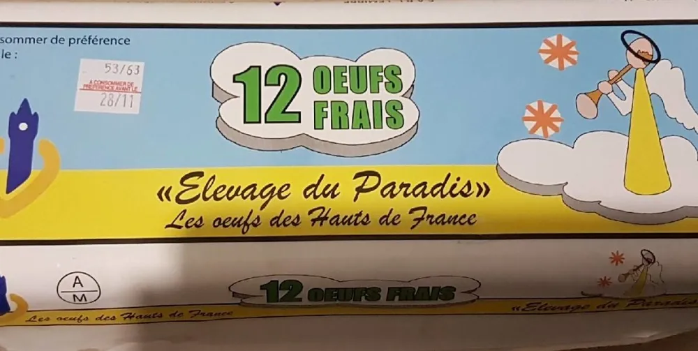 12 Œufs Frais