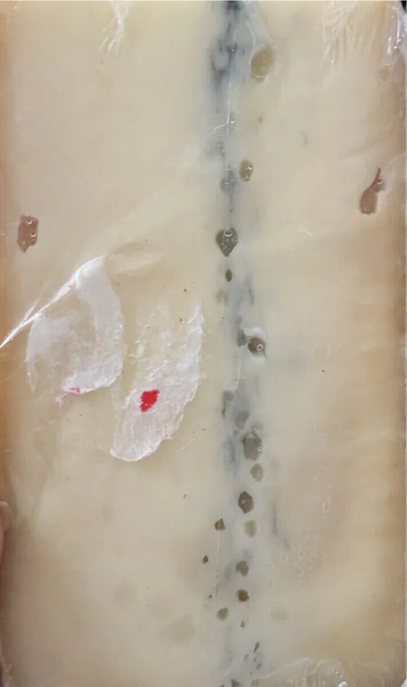 Morbier AOP