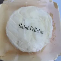 Saint felicien