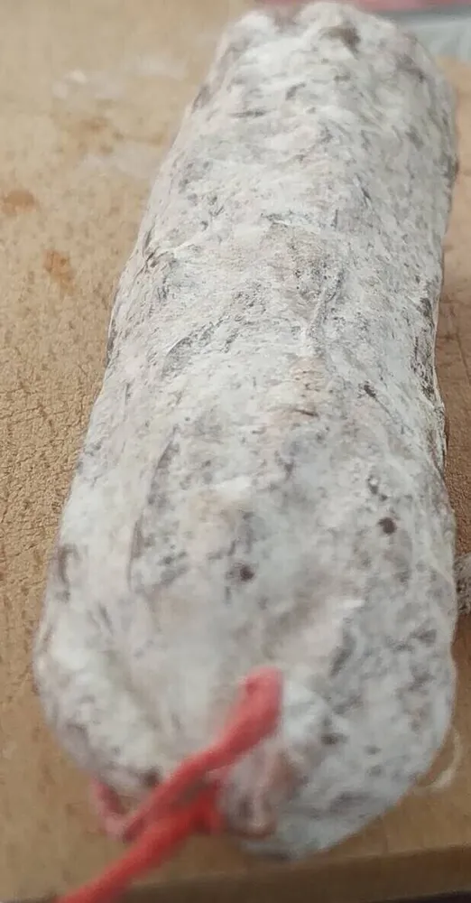 Saucisson de porc et sanglier