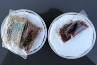 Petit camenbert au Barbecue