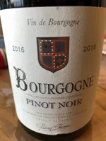 Bourgogne Pinot Noir 2016