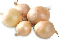 Bio oignons filet auchan