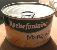 Mangues morceaux au sirop léger