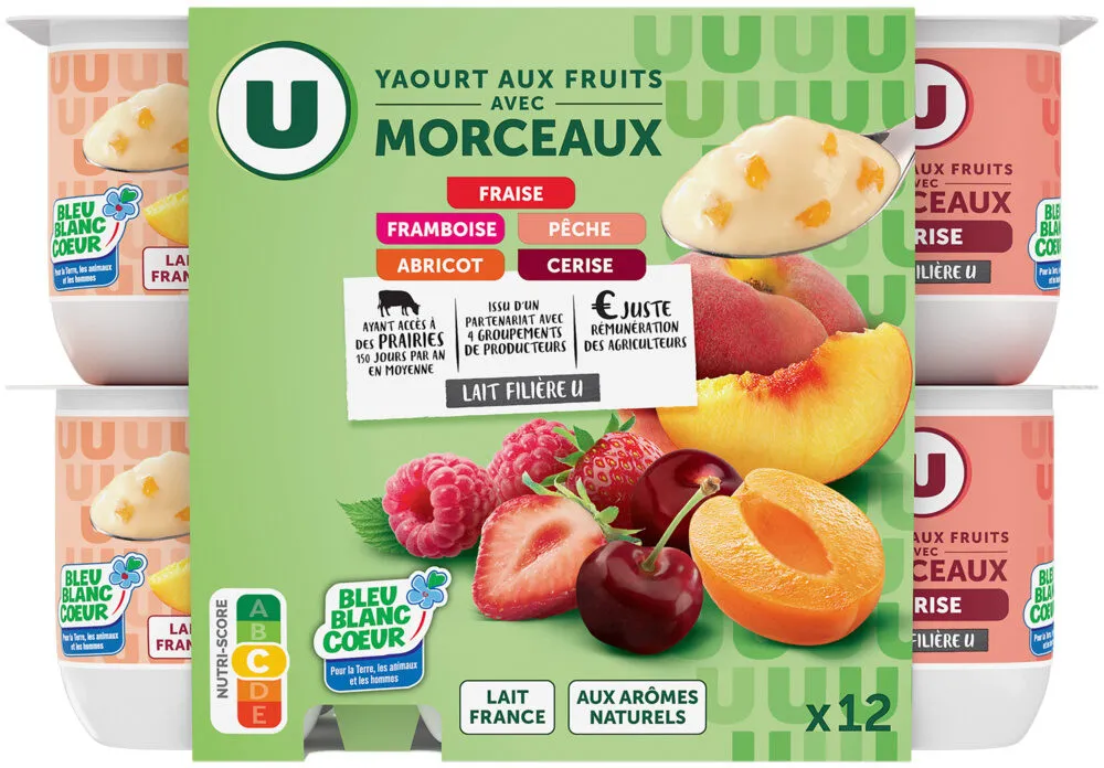 Yaourt aux morceaux de fruits panachés 12x125g