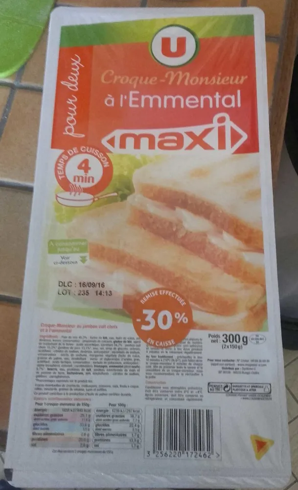Croque-monsieur élémental maxi