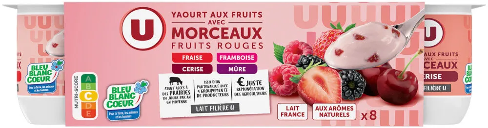 Yaourts aux fruits rouges avec morceaux - 8x125g