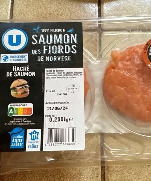 Saumon des fjords de norvège