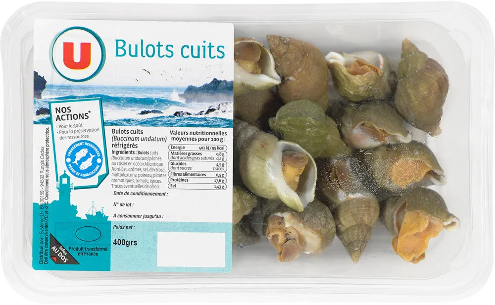 Bulots cuits, pêchés en Atlantique Nord-Est