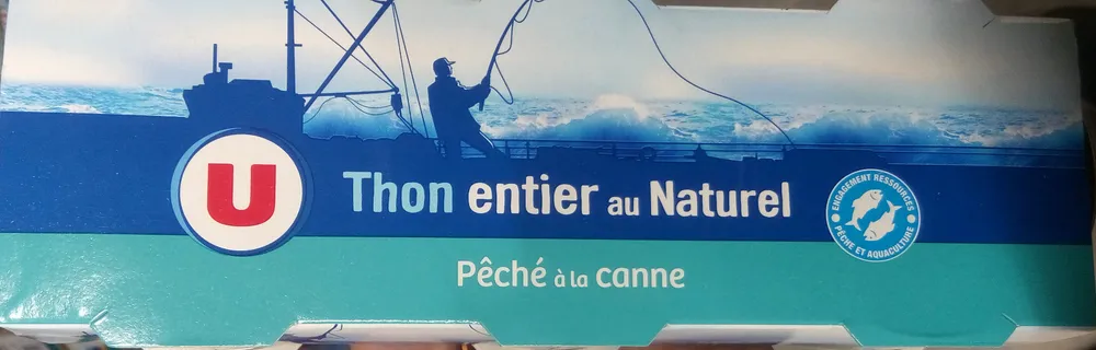 Thon entier au naturel pêché à la canne