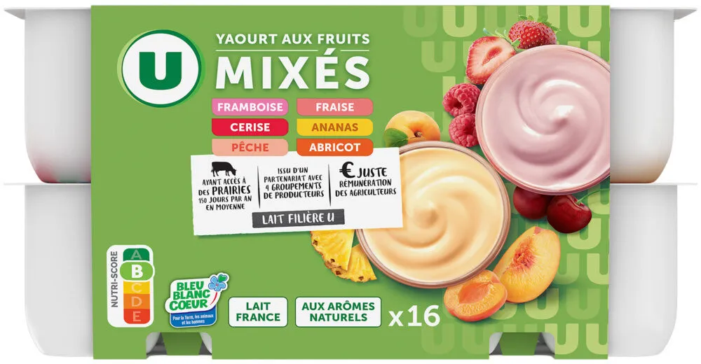 Yaourt aux fruits mixés