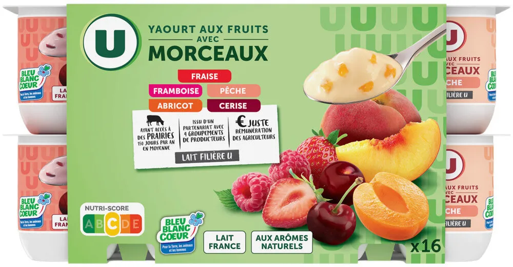 Yaourt aux morceaux de fruits panachés 16x125g