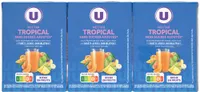 Nectar tropical riche en fruits brique 6 briques de 20cl