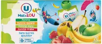 Gourdes dessert fruitier aux 4 parfums sans sucre ajouté 20x90g