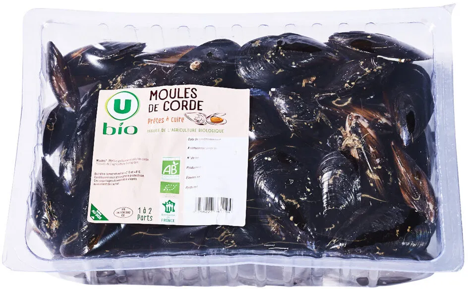 Moules de cordes bio, mytilus galloprovencialis, élevées en Espagne,barquette, 1kg