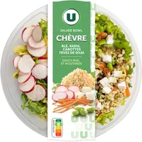 Salade bowl chèvre -cuit de fromage de chèvre de fruits sec et d'une coupelle de sauce au miel