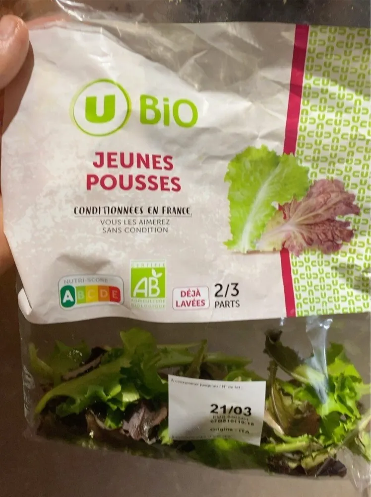 Jeunes pousses