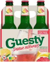 Bière sans alcool Guesty aromatisée saveur Agrumes pack de 6x33cl